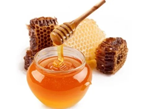 تصویر 3 از خرید عسل گون گز انگبین + قیمت فروش استثنایی